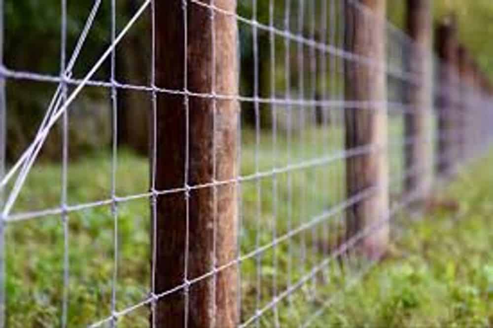 Continuous Panel image