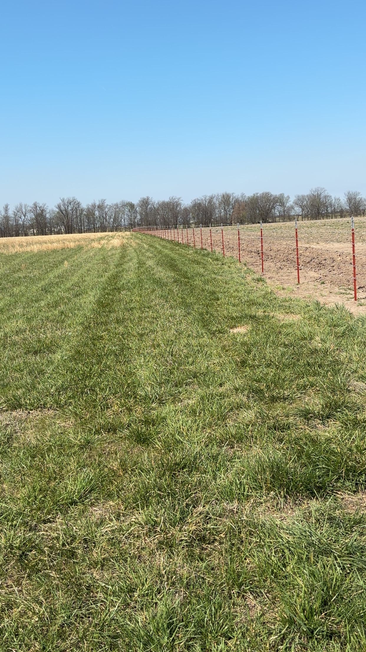 Gallery photos for Durable Woven Wire Fencing Installation: Image #4