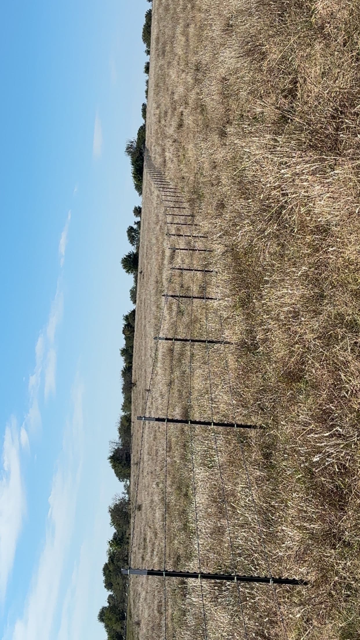 Gallery photos for Durable Woven Wire Fencing Installation: Image #3